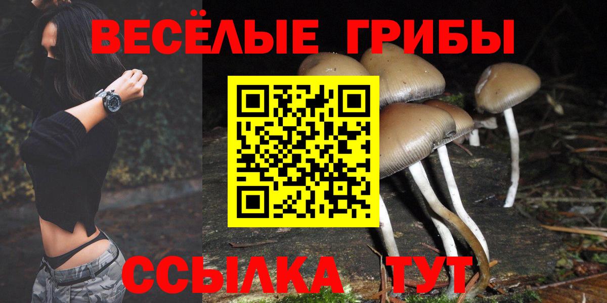 Миасс  Псилоцибиновые грибы Magic Shrooms  Вход с VPN 